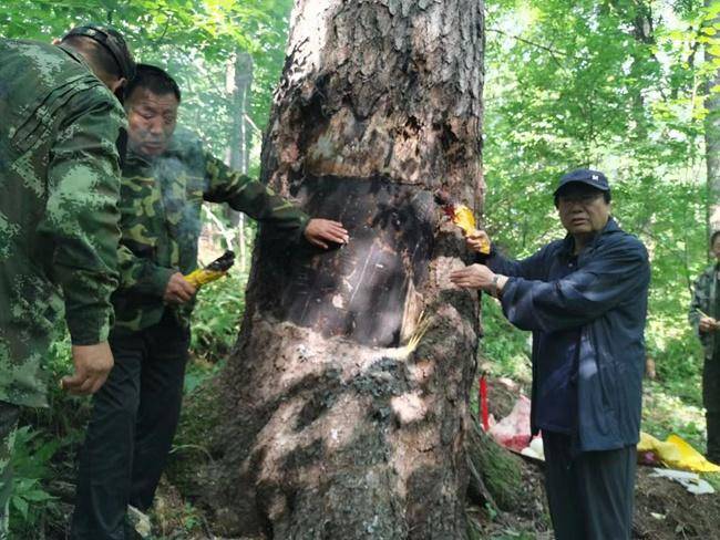 快手直播：澳门管家婆一肖一码一中一-文化：重庆渝北区：龙塔街道渝鲁社区开展“幸福社区乐翻天”文化惠民演出活动  第5张