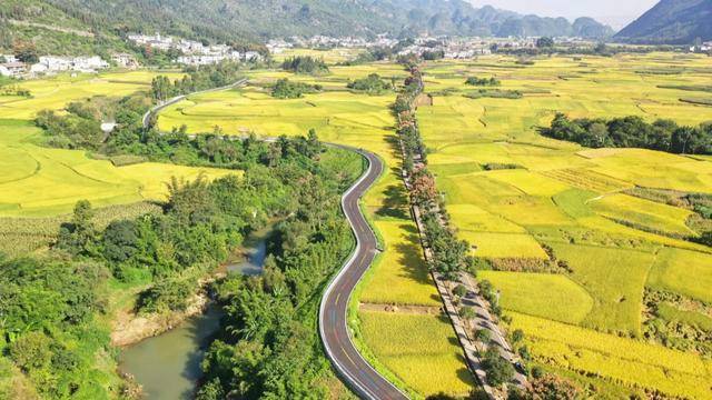 百科：澳门一码一肖一特一中2024-8月15日凯撒文化（002425）龙虎榜数据：游资量化打板上榜