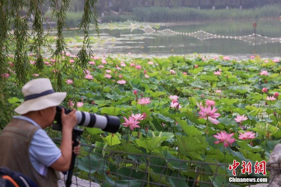 花椒直播：澳门一肖一码准选今晚-何以中国｜“一枝塔影认通州”大运河文化旅游景区的华丽蜕变