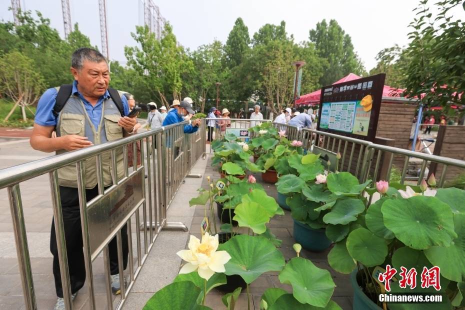 迅雷看看：澳门一肖一码期期准中选料-凯撒文化下跌5.28%，报2.51元/股