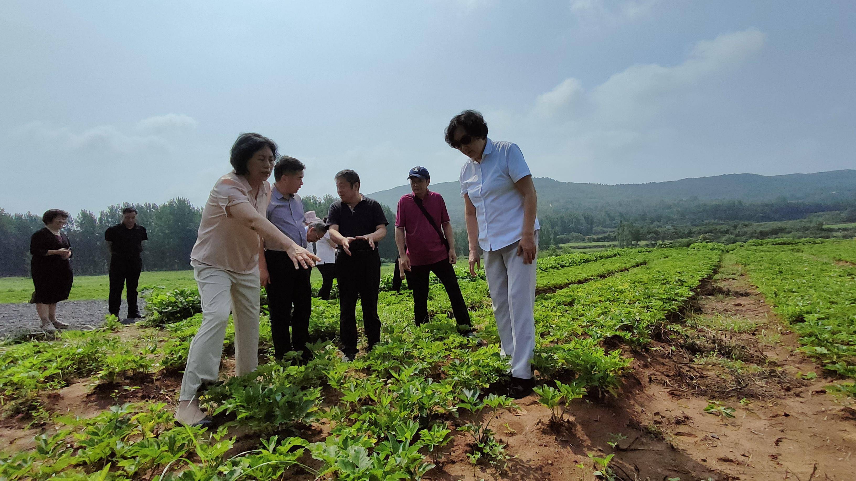 问答：澳门一肖一码期期准精选默认版块-文化：60多个国家地区文化机构参展