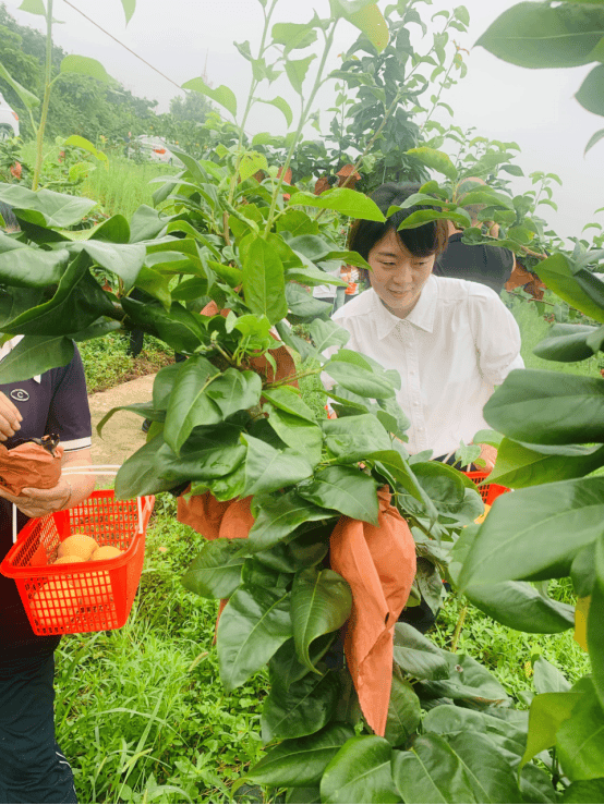 花椒直播：澳门六开彩天天免费资料大全图-一周复盘 | 龙版传媒本周累计下跌6.71%，文化传媒板块下跌4.57%