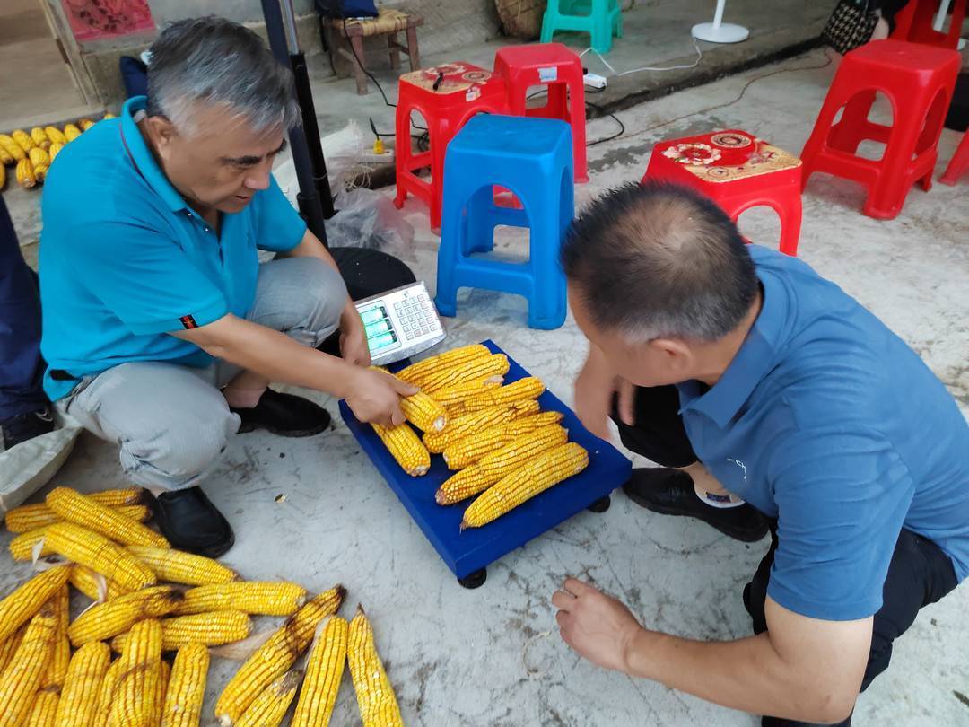 华为：管家婆一码一肖-合肥市第四十六中学海恒分校：追寻历史之光 领略文化魅力