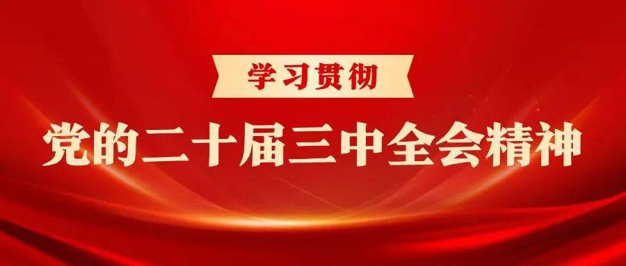 京东：澳门一码一肖一特一中2024年-“行进中国”调研行·品牌湖南｜就着荷香，来一场夏日读书会