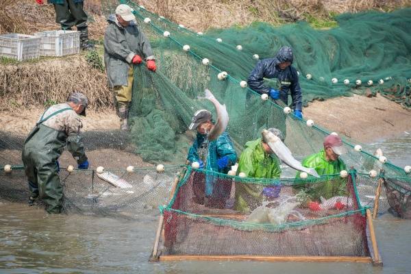 爱奇艺：新澳门内部资料精准大全9494港澳论坛-新石文化（01740.HK）7月10日收盘涨2.5%