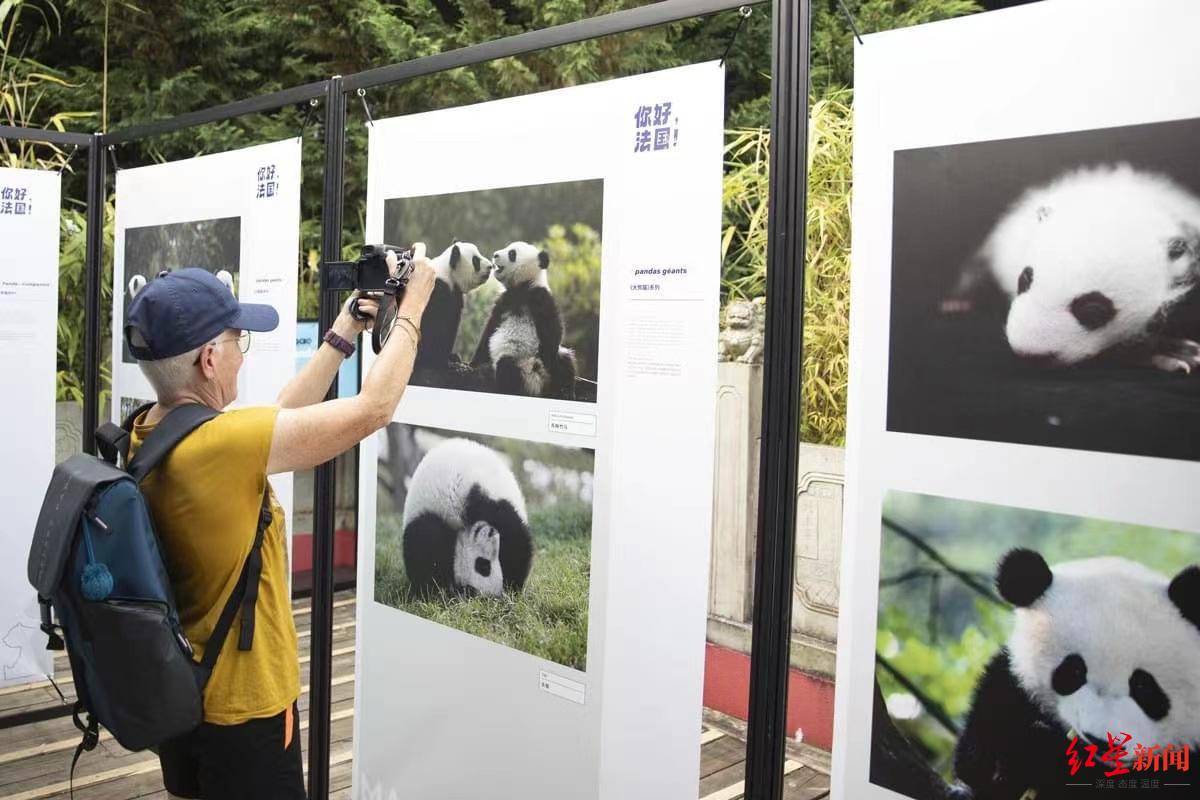 爱奇艺影视：澳门一码中精准一码免费中特-【文化中国行】千年笙鼓音 遗韵复绕梁