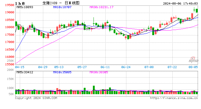 每日猪讯8.6  第2张