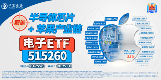 科技自主可控大爆发！电子ETF（515260）怒涨3%，上探年内高点！华大九天20CM涨停  第2张